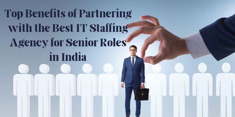 Top Benefits of Partnering with the Best IT Staffing Agency for Senior Roles in India_89.png